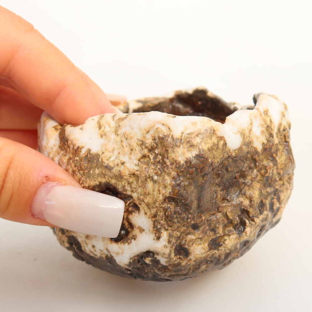 Ceramiczna skorupa  7,5 x 7 x 5 cm, kolor biało-brązowy