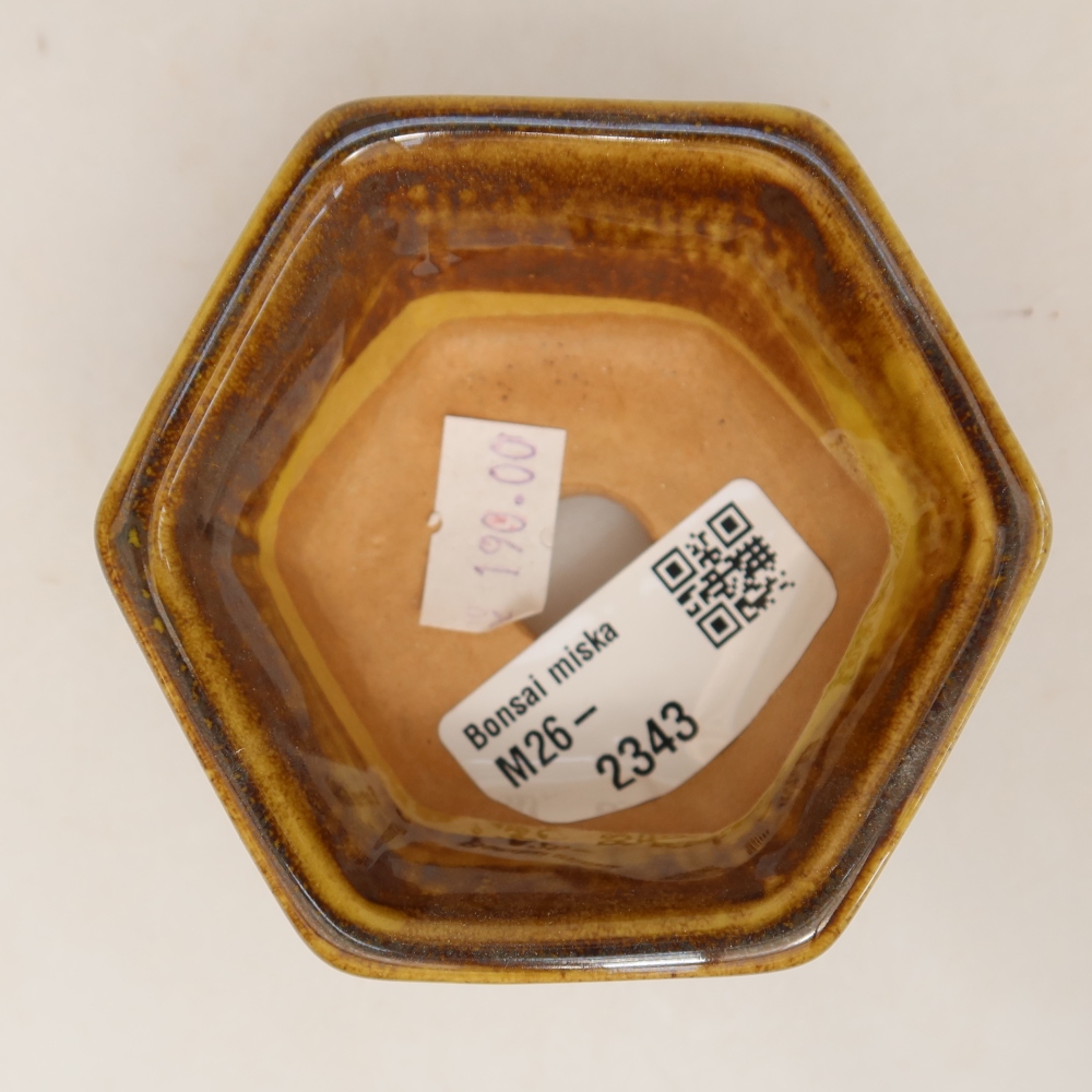 Ceramiczna miseczka do bonsai 7,5 x 7 x 4 cm, kolor brązowo-żółty