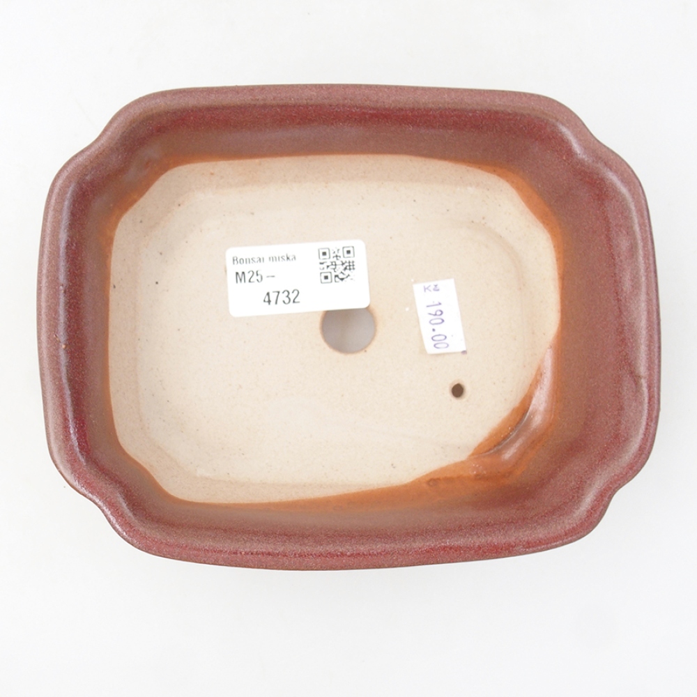 Ceramiczna miska bonsai 16 x 12 x 5 cm, kolor brązowy