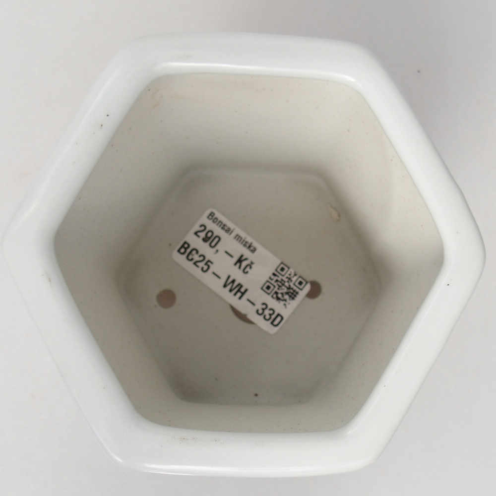 Ceramiczna miska do bonsai 10,5 x 9,5 x 9 cm, kolor biały