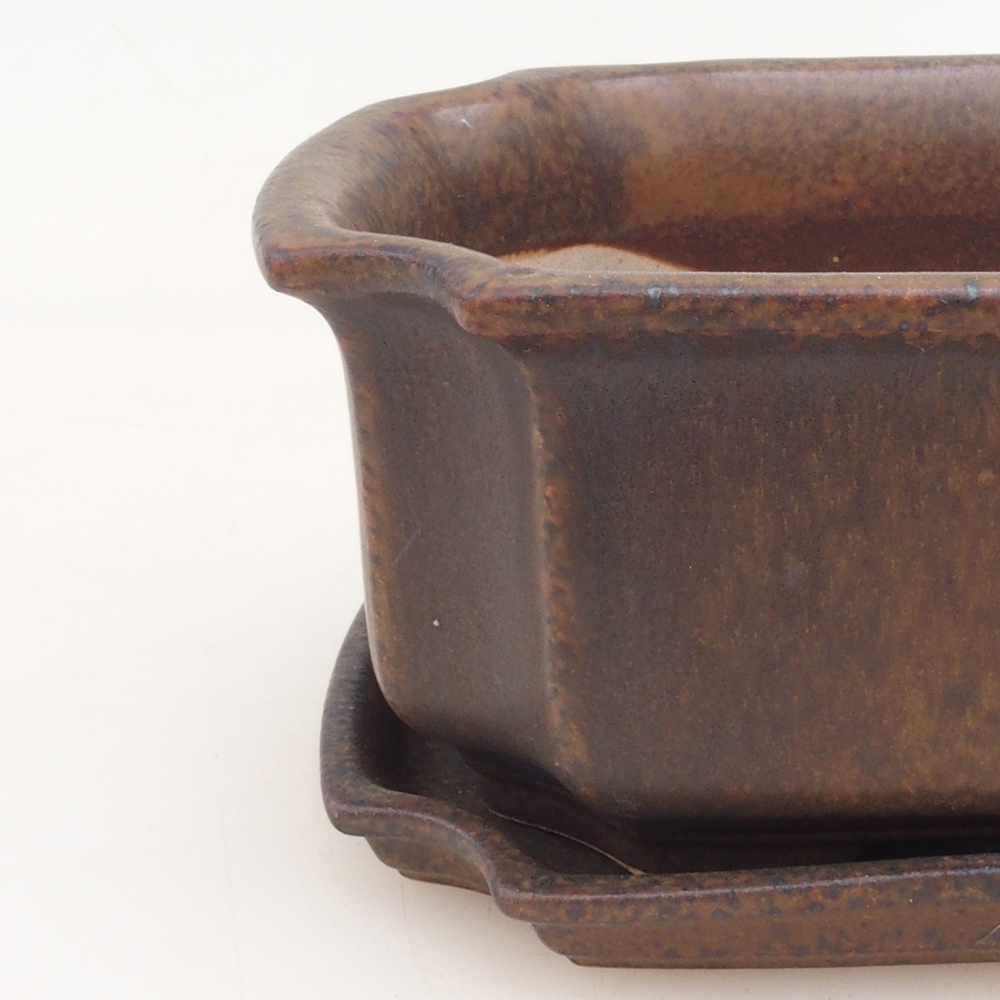 Bonsai bowl + spodek H01 - brązowy