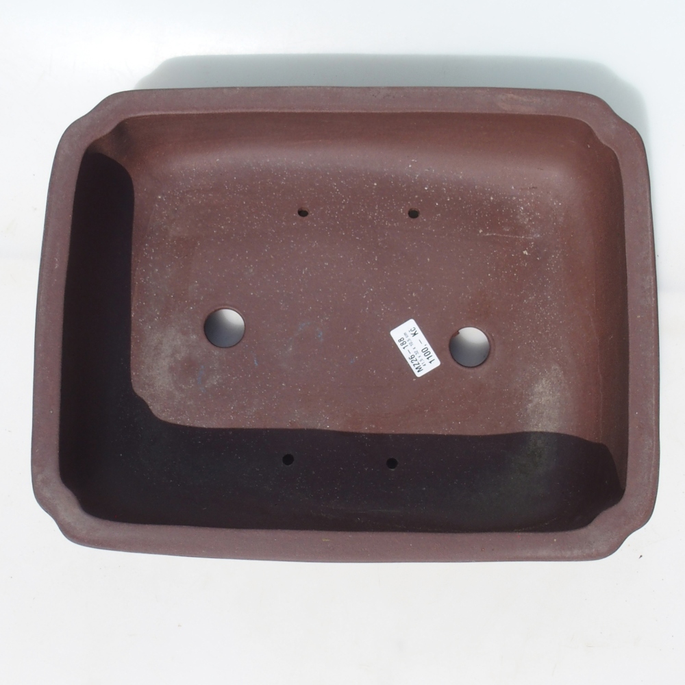 Misa bonsai 41,5 x 32 x 10,5 cm brzoza brązowa