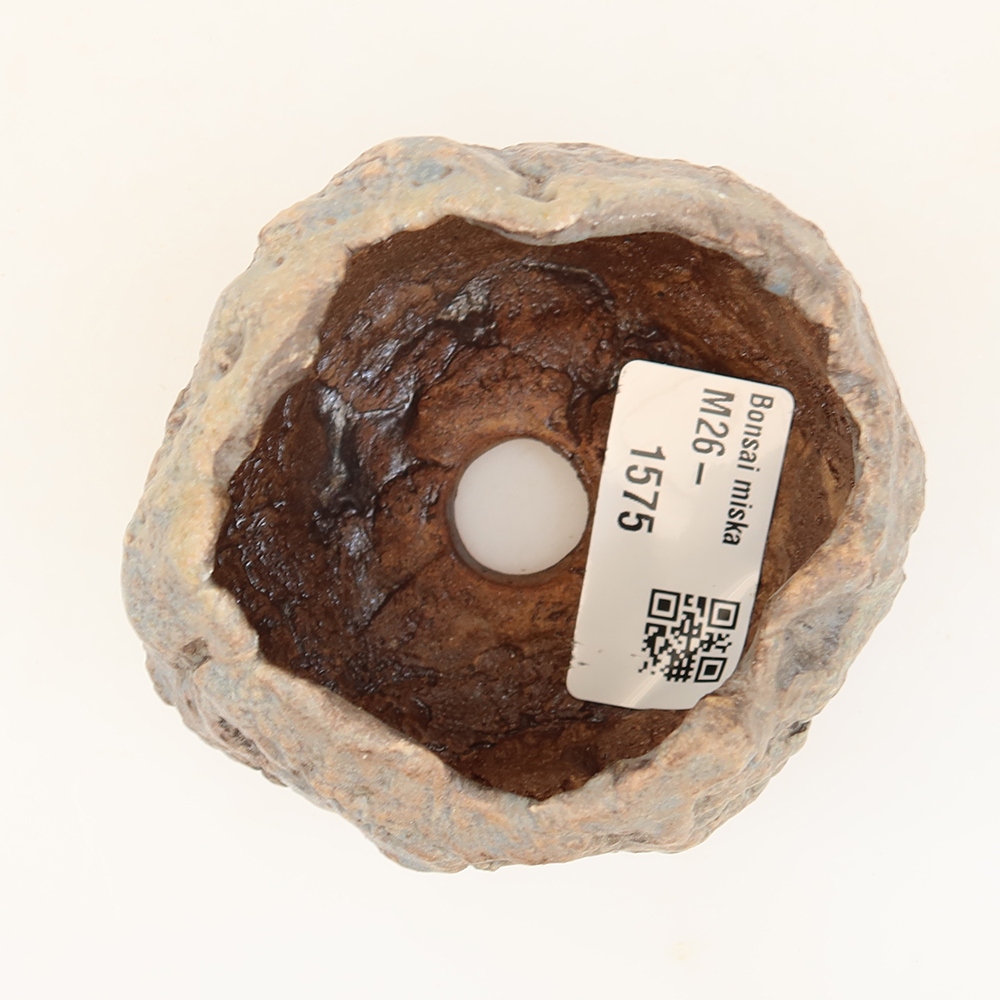 Ceramiczna skorupka  5,5 x 5,5 x 6 cm, kolor niebieski