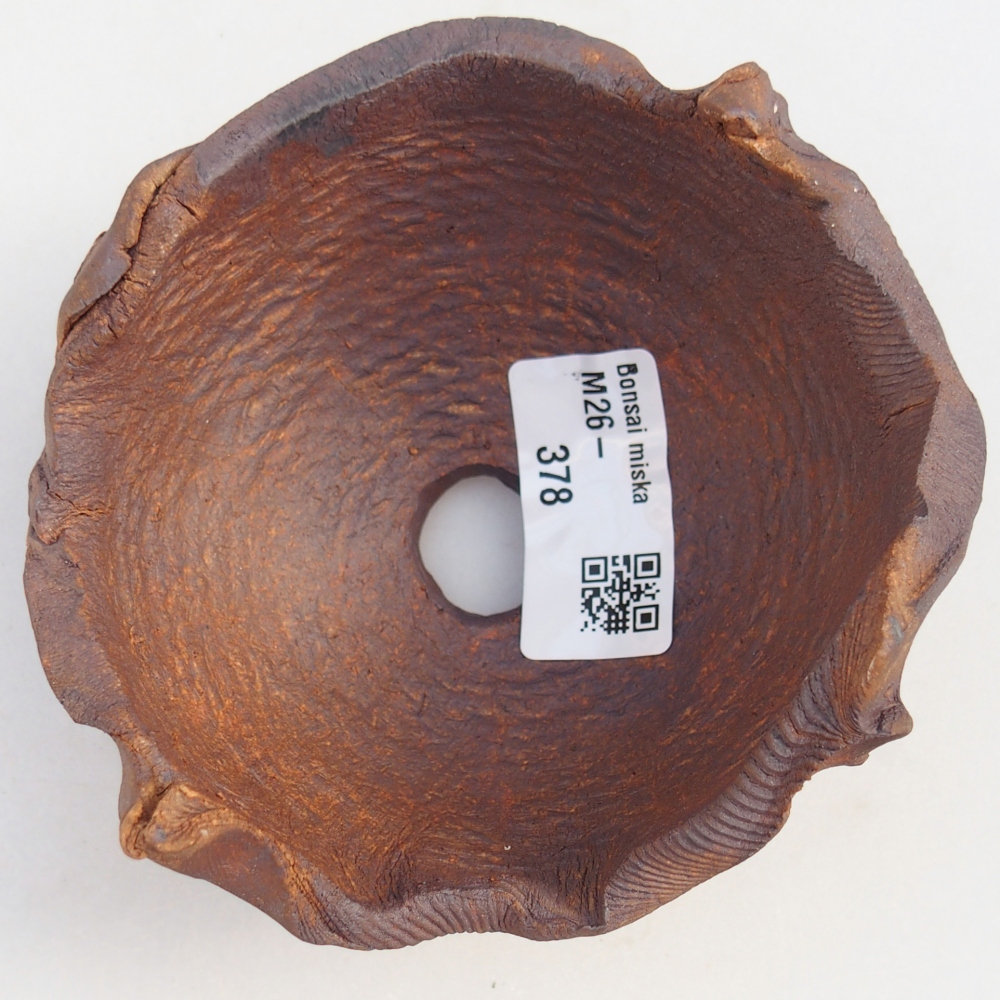 Ceramiczna muszla 11 x 10 x 6,5 cm, kolor brązowy