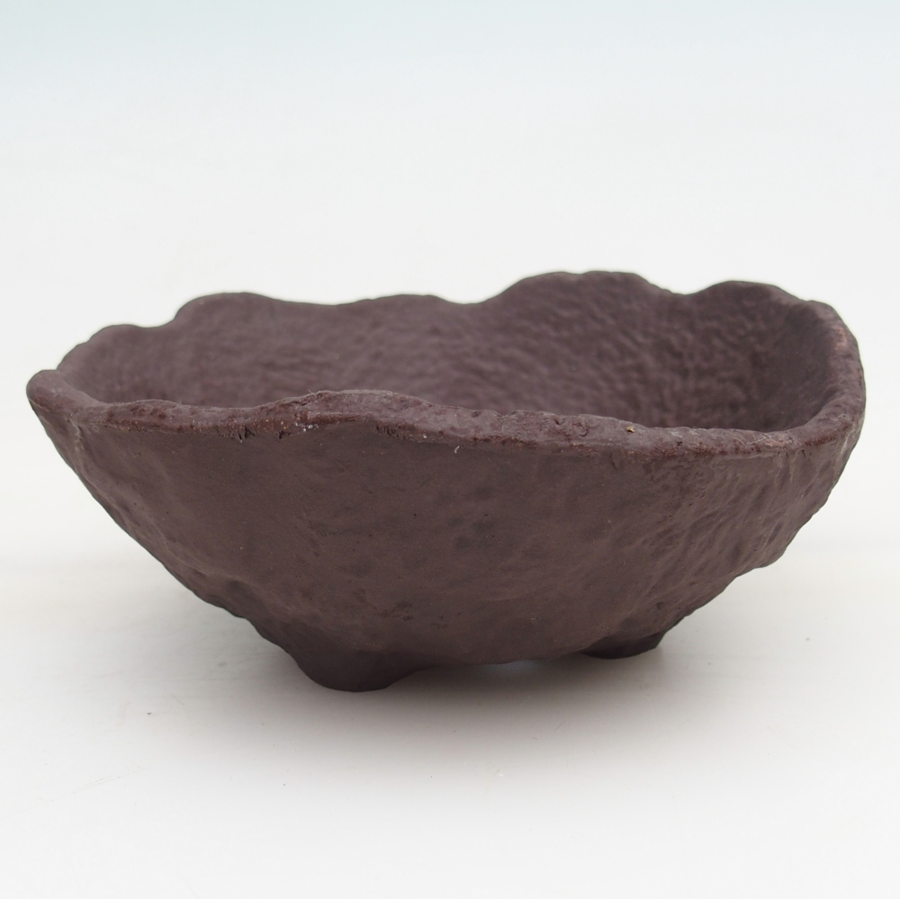 Ceramiczna muszla 13 x 13 x 5,5 cm, kolor brązowy