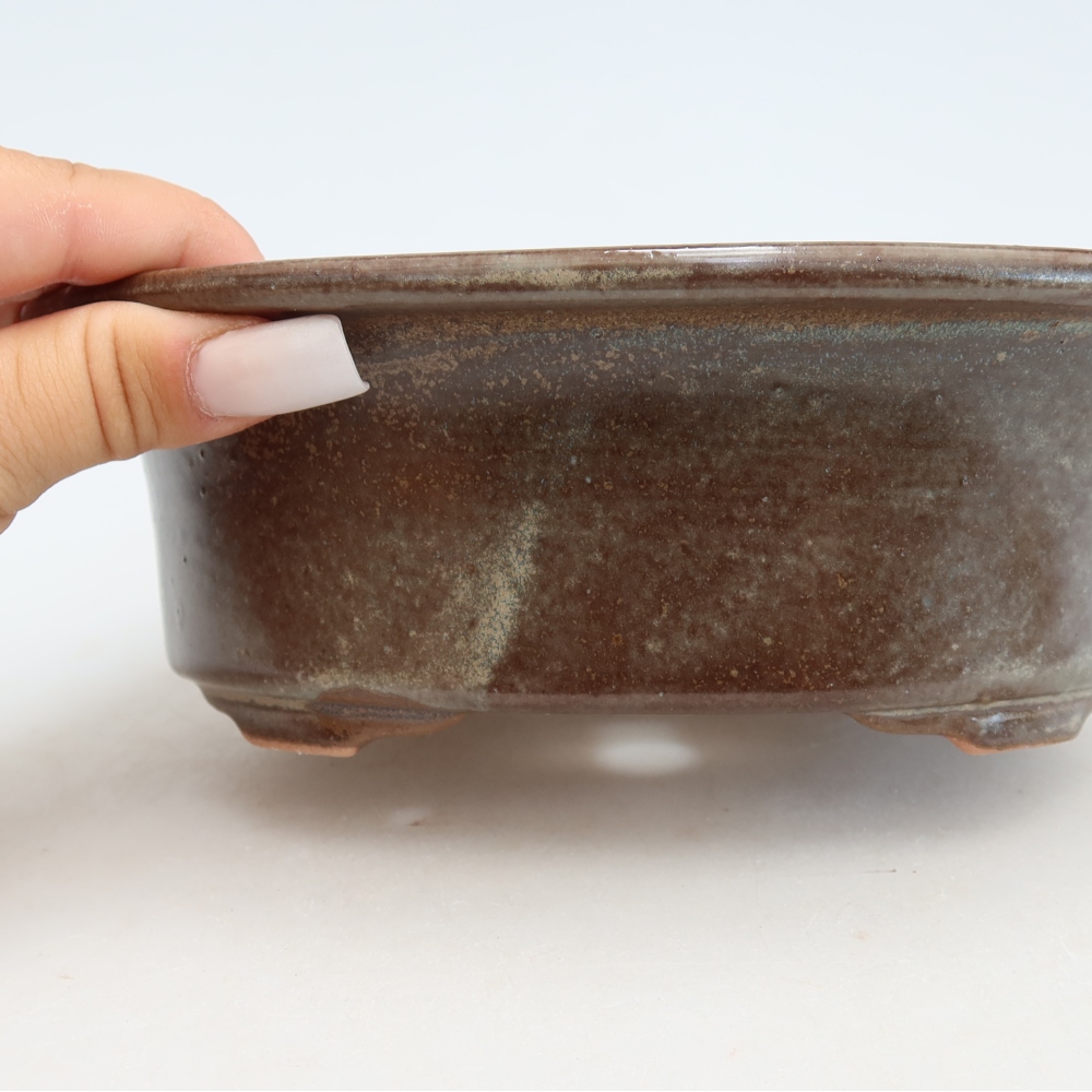 Ceramiczna miska do bonsai 19,5 x 15,5 x 6,5 cm, kolor brązowy