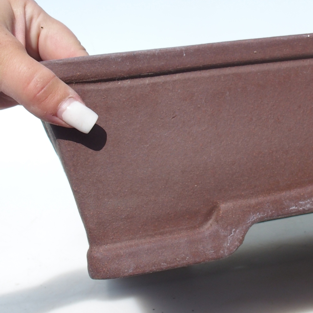 Misa bonsai 40 x 32,5 x 10,5 cm brzoza brązowa