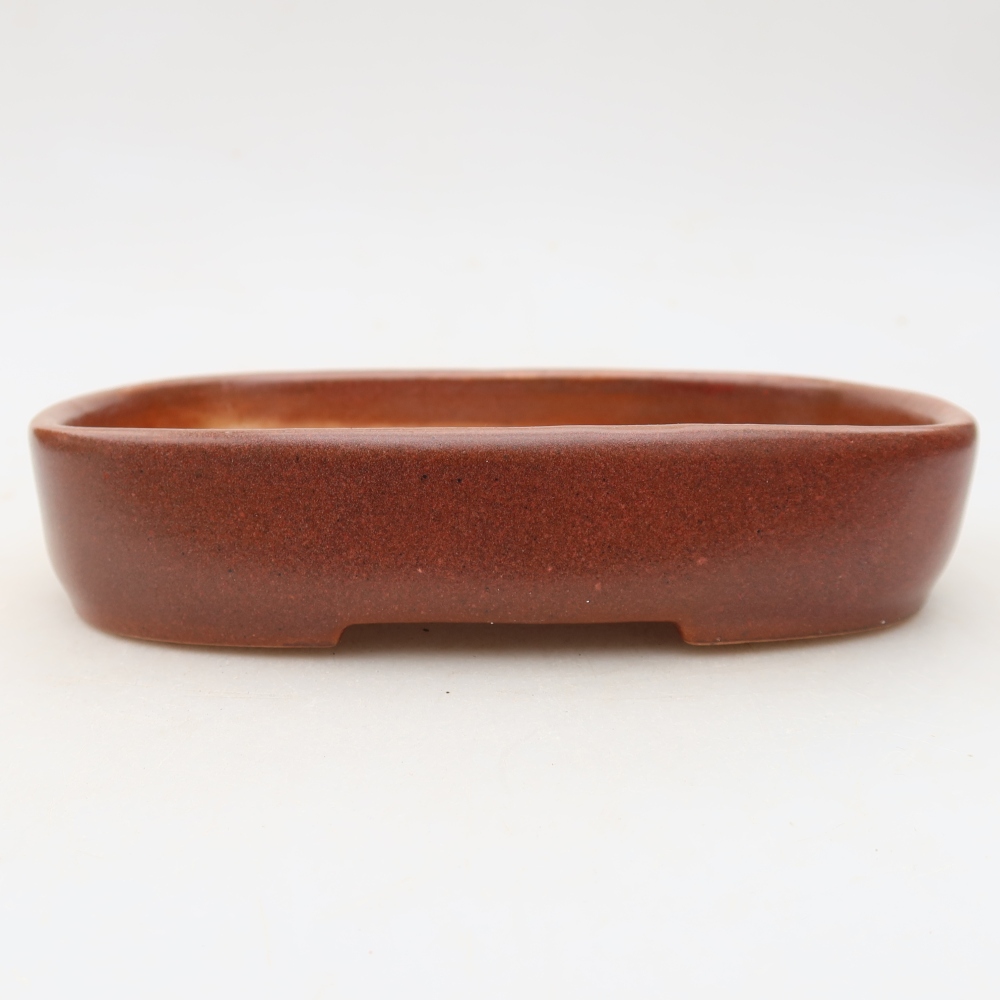 Ceramiczna miska do bonsai 16 x 11 x 3,5 cm, kolor bordowy