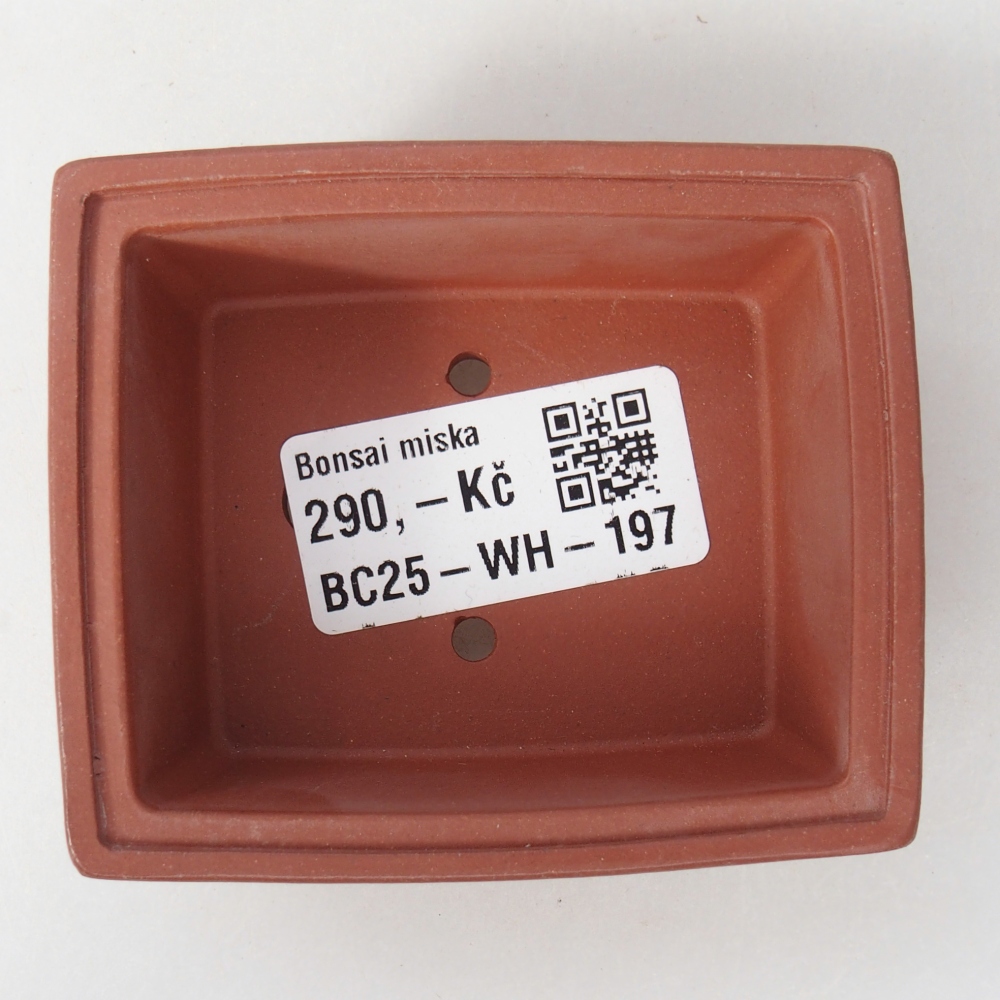 Mini miska do bonsai 7,5 x 6,5 x 3 cm, kolor ceglasty