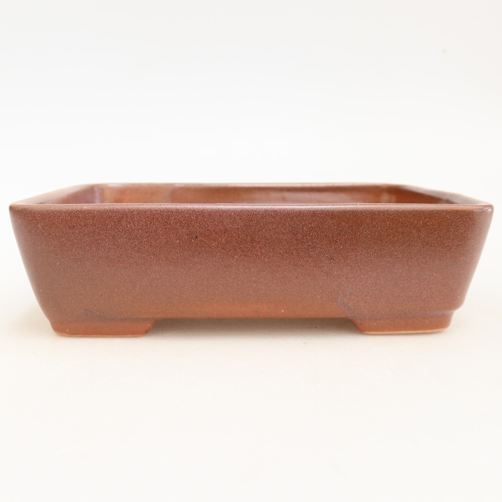 Ceramiczna miska do bonsai 18 x 13 x 5 cm, kolor bordowy