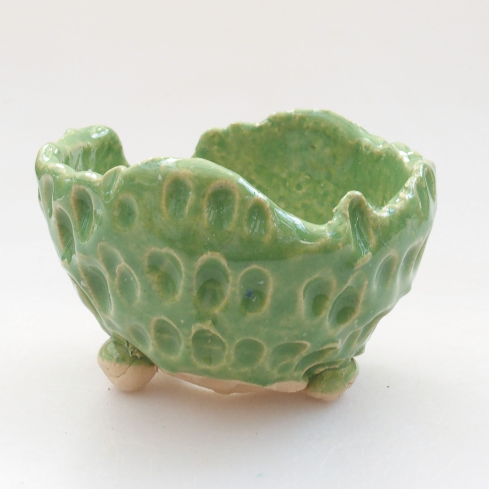 Muszla ceramiczna 7 x 7 x 5 cm, kolor zielony