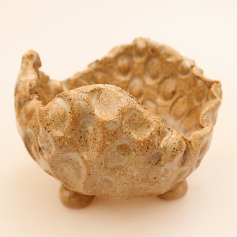 Ceramiczna muszla 8,5 x 8,5 x 6 cm, kolor beżowy