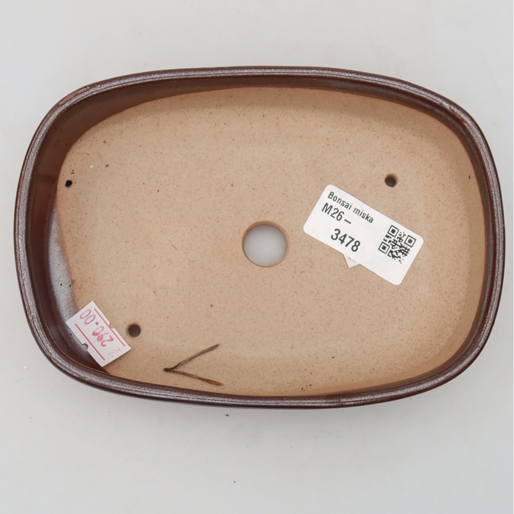 Ceramiczna miseczka do bonsai 16 x 11 x 3,5 cm, kolor brązowy