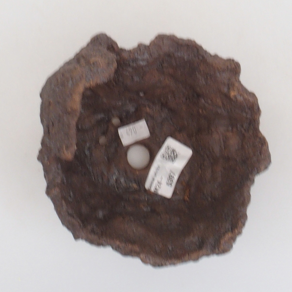 Muszla ceramiczna 14 x 13 x 15 cm, kolor brązowy