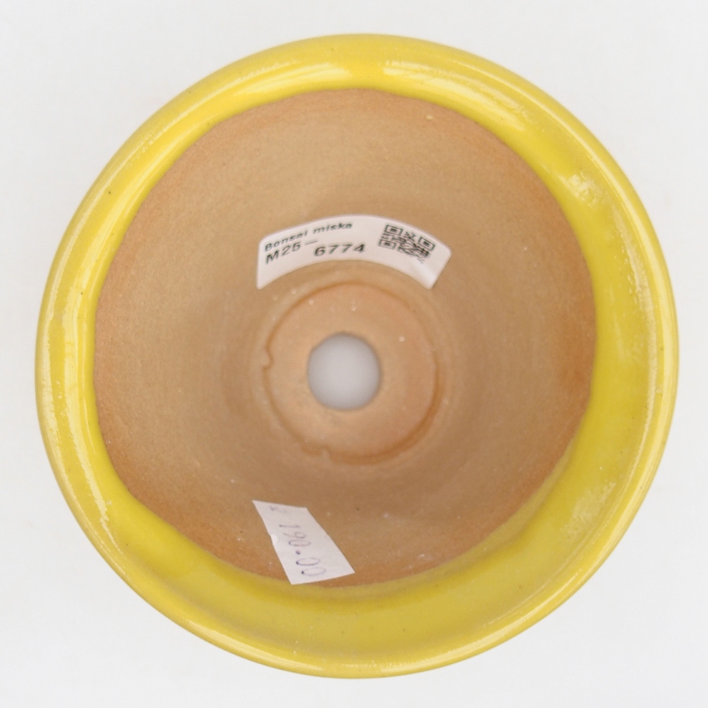 Ceramiczna miska do bonsai 10,5 x 10,5 x 7 cm, żółta