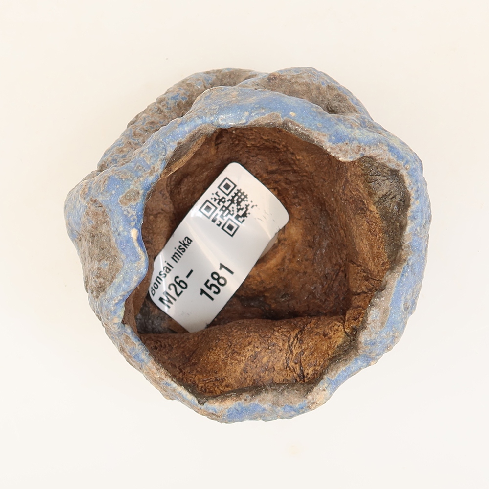 Ceramiczna skorupka  6 x 5,5 x 6 cm, kolor niebieski