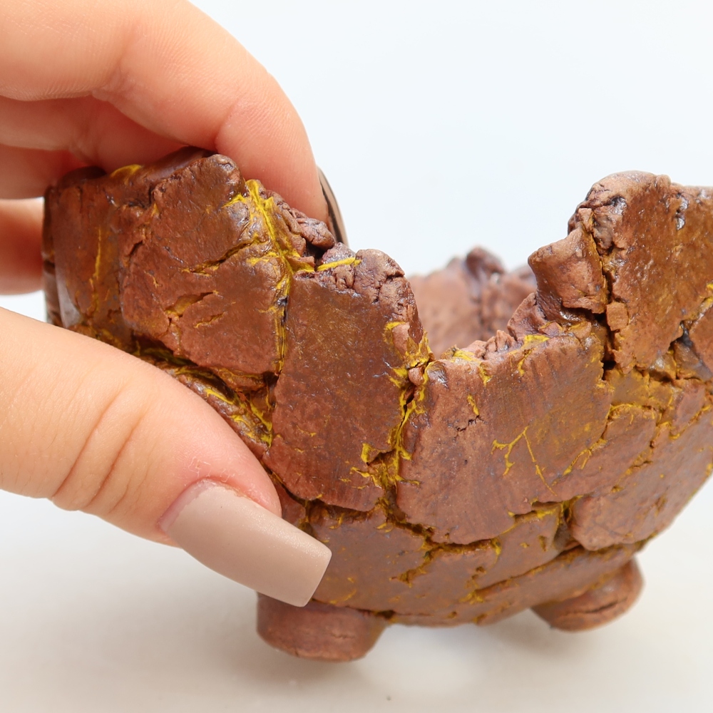 Ceramiczna skorupa  11 x 10 x 7 cm, kolor żółty