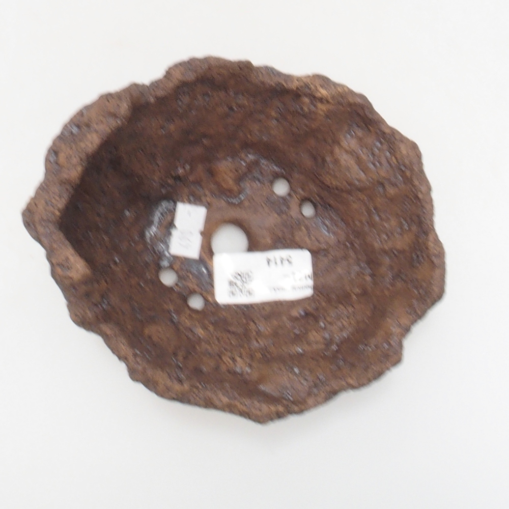 Muszla ceramiczna 13 x 11 x 12 cm, kolor brązowy