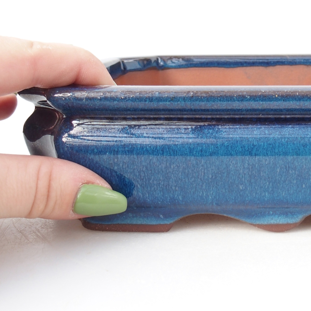 Miska 21,5 x 26,5 x 4 cm kolor niebieski