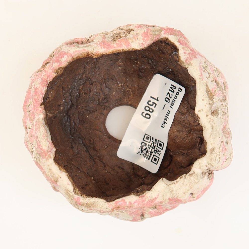 Ceramiczna skorupka  6 x 6 x 5,5 cm, kolor różowy