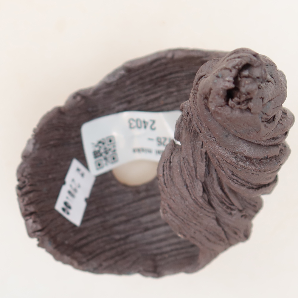 Ceramiczna skorupa  7,5 x 7,5 x 13 cm, kolor brązowy
