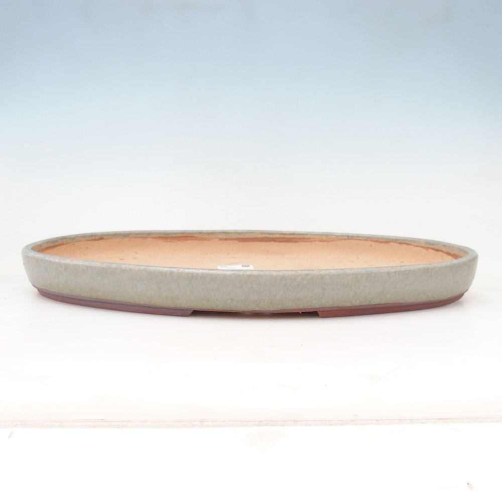 Misa do bonsai 48 x 31 x 4,5 cm, kolor szary - WYŁĄCZNIE ODBIÓR OSOBISTY lub transport paletowy