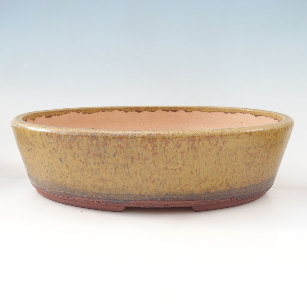 Misa do bonsai 33 x 26 x 8,5 cm, kolor żółty