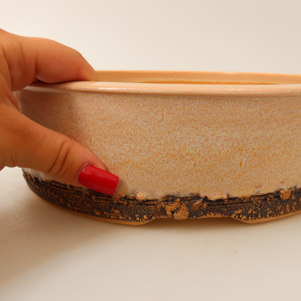 Ceramiczna miska do bonsai 24,5 x 24,5 x 7 cm, kolor beżowy