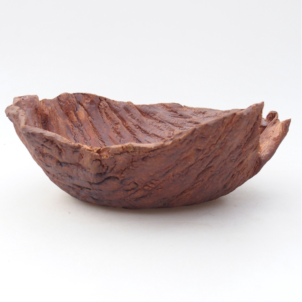 Ceramiczna muszla 20 x 20 x 8 cm, kolor brązowy