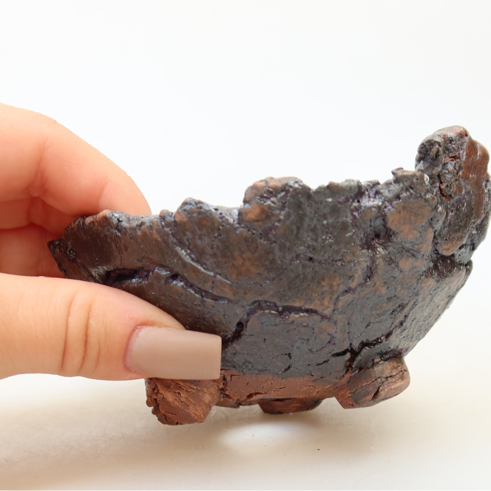 Ceramiczna skorupa  10,5 x 10,5 x 6 cm, kolor brązowy