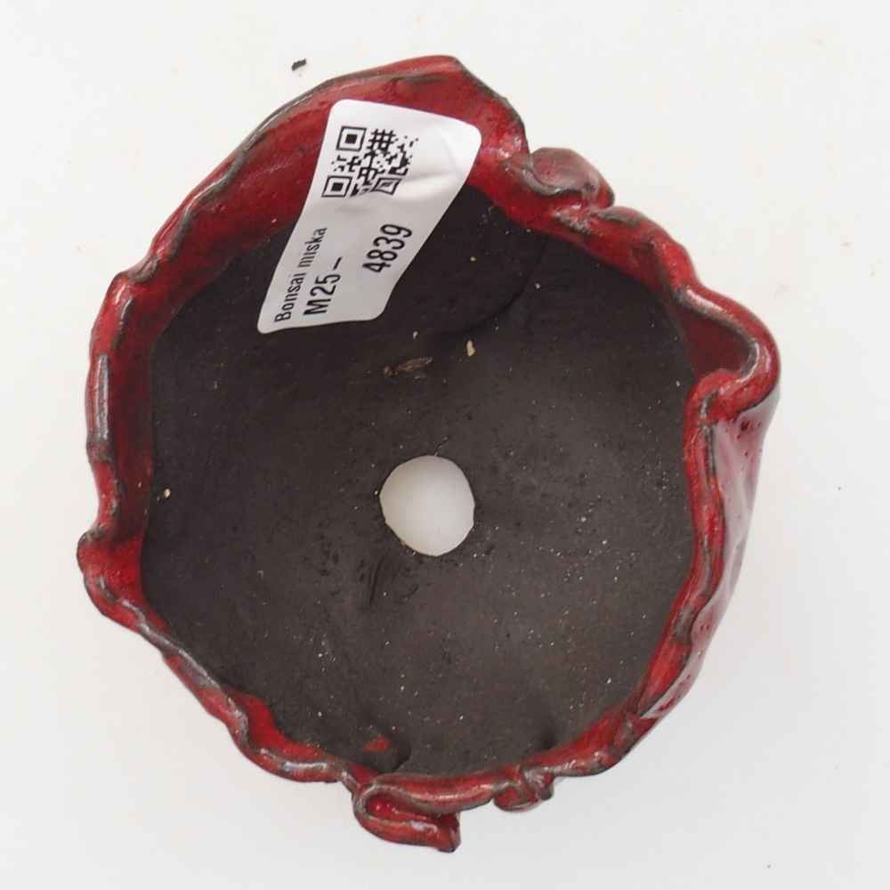 Muszla ceramiczna 8 x 7 x 7 cm, kolor czerwony