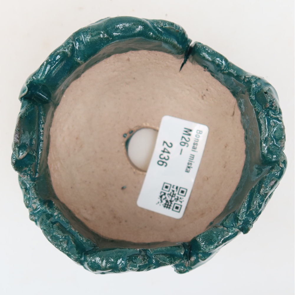 Ceramiczna skorupa  9 x 8,5 x 6 cm, kolor zielony
