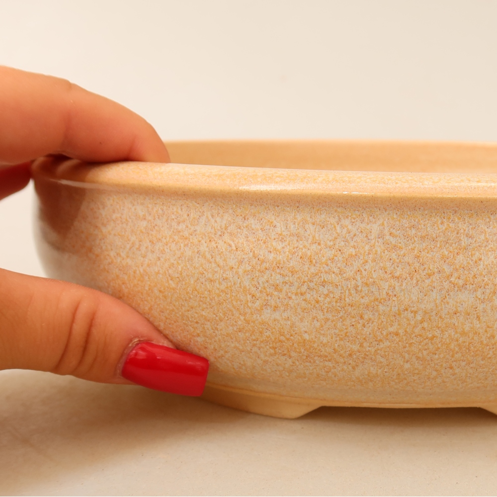 Ceramiczna miska do bonsai 22,5 x 22,5 x 6,5 cm, kolor beżowy