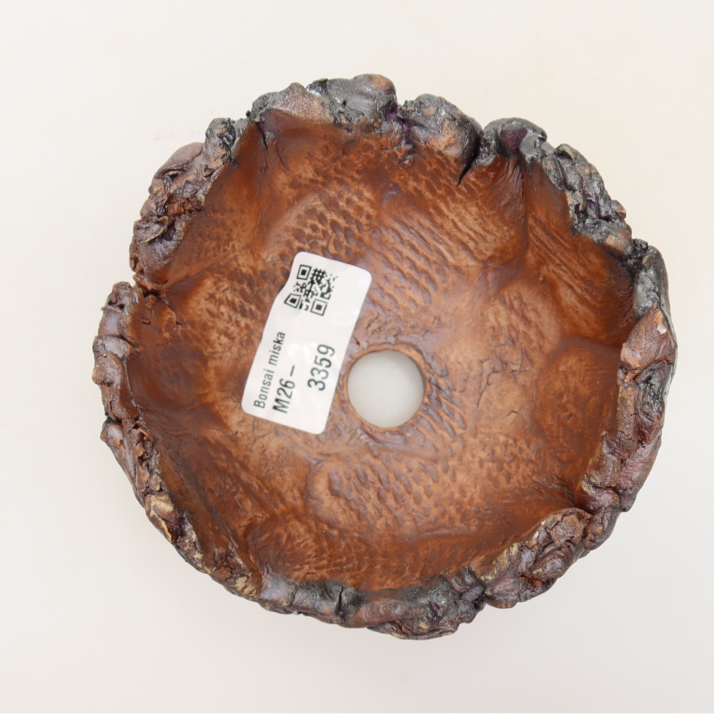 Ceramiczna skorupa 12 x 11 x 7 cm, kolor brązowy