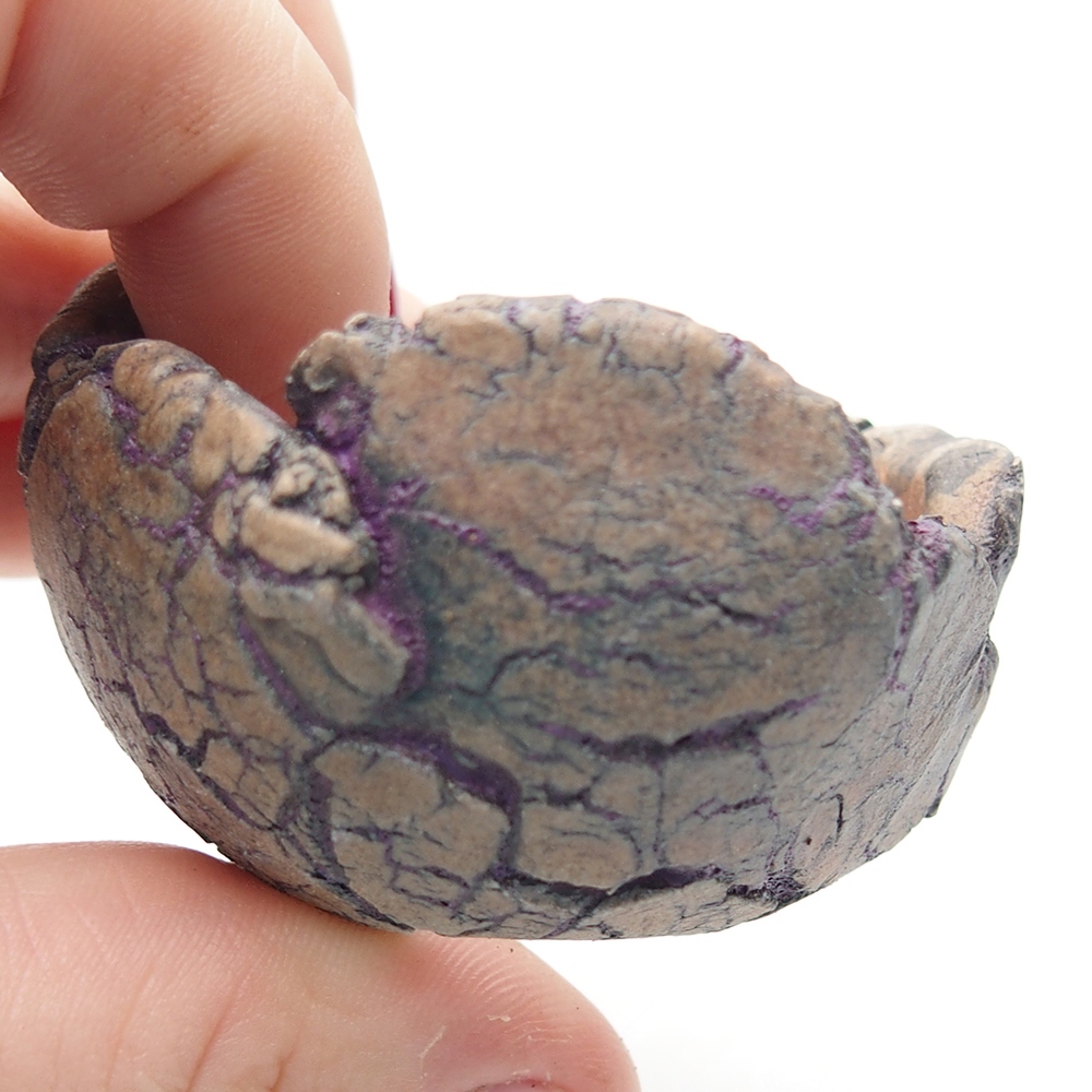 Ceramiczna muszla 5,5 x 5 x 4 cm, kolor fioletowy