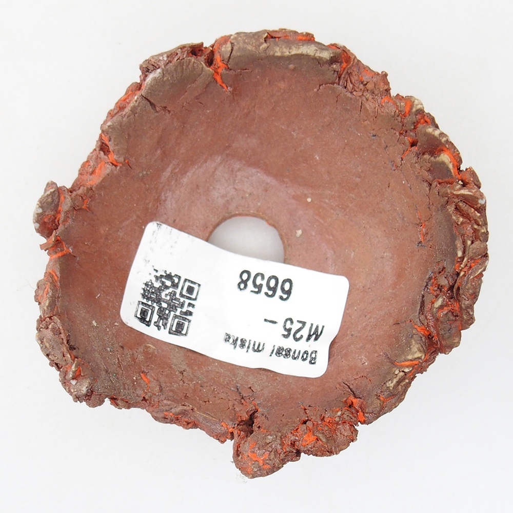 Ceramiczna muszla 7 x 7 x 4 cm, kolor pomarańczowy
