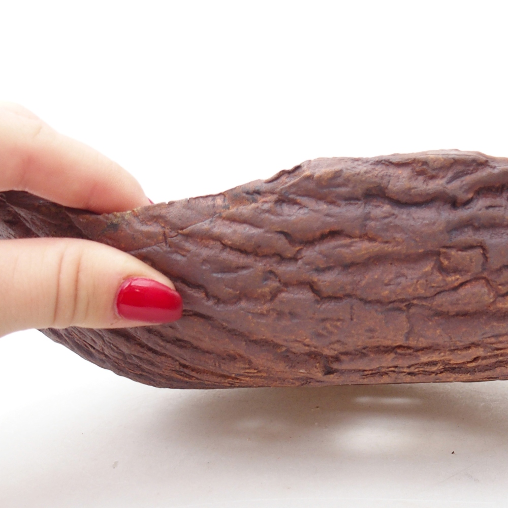 Ceramiczna muszla 24 x 17 x 7 cm, kolor brązowy