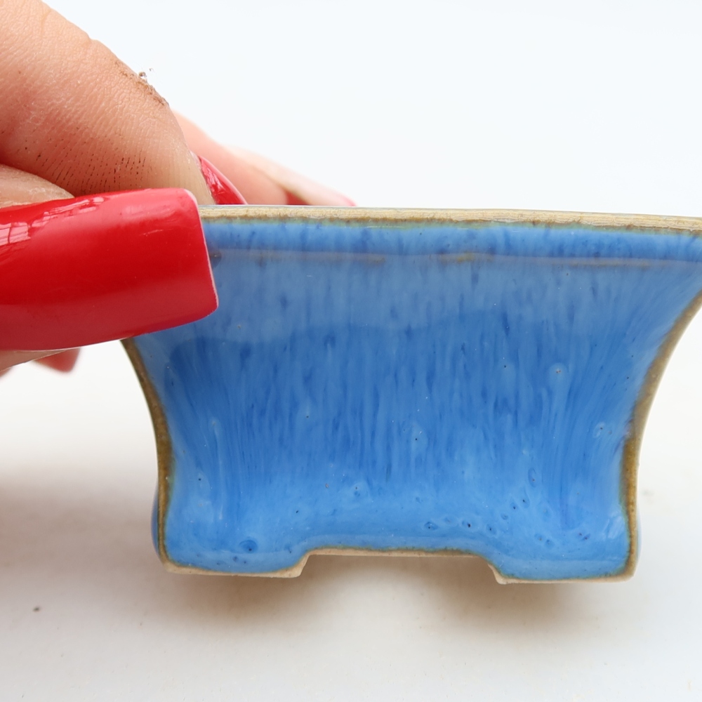 Ceramiczna miseczka do bonsai 5,5 x 3,5 x 3 cm, kolor niebieski