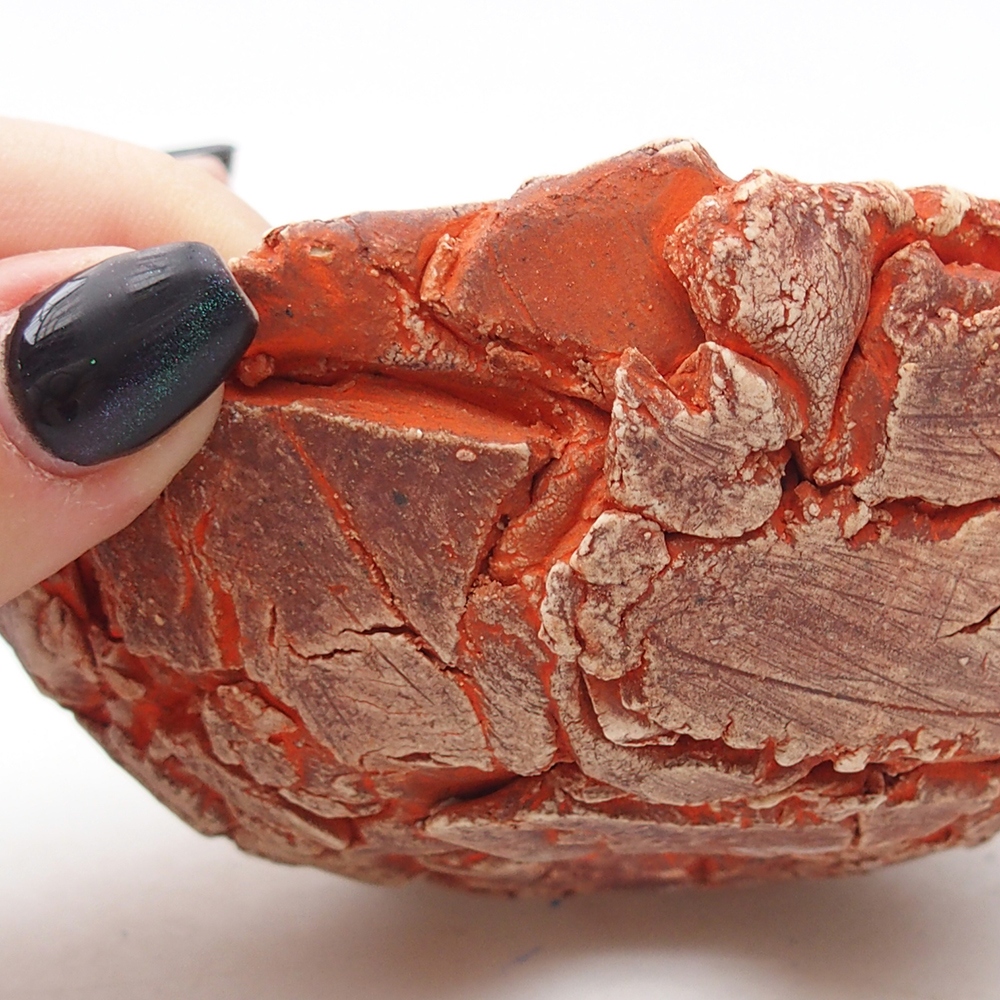 Muszla ceramiczna 11 x 11 x 6 cm, kolor pomarańczowy