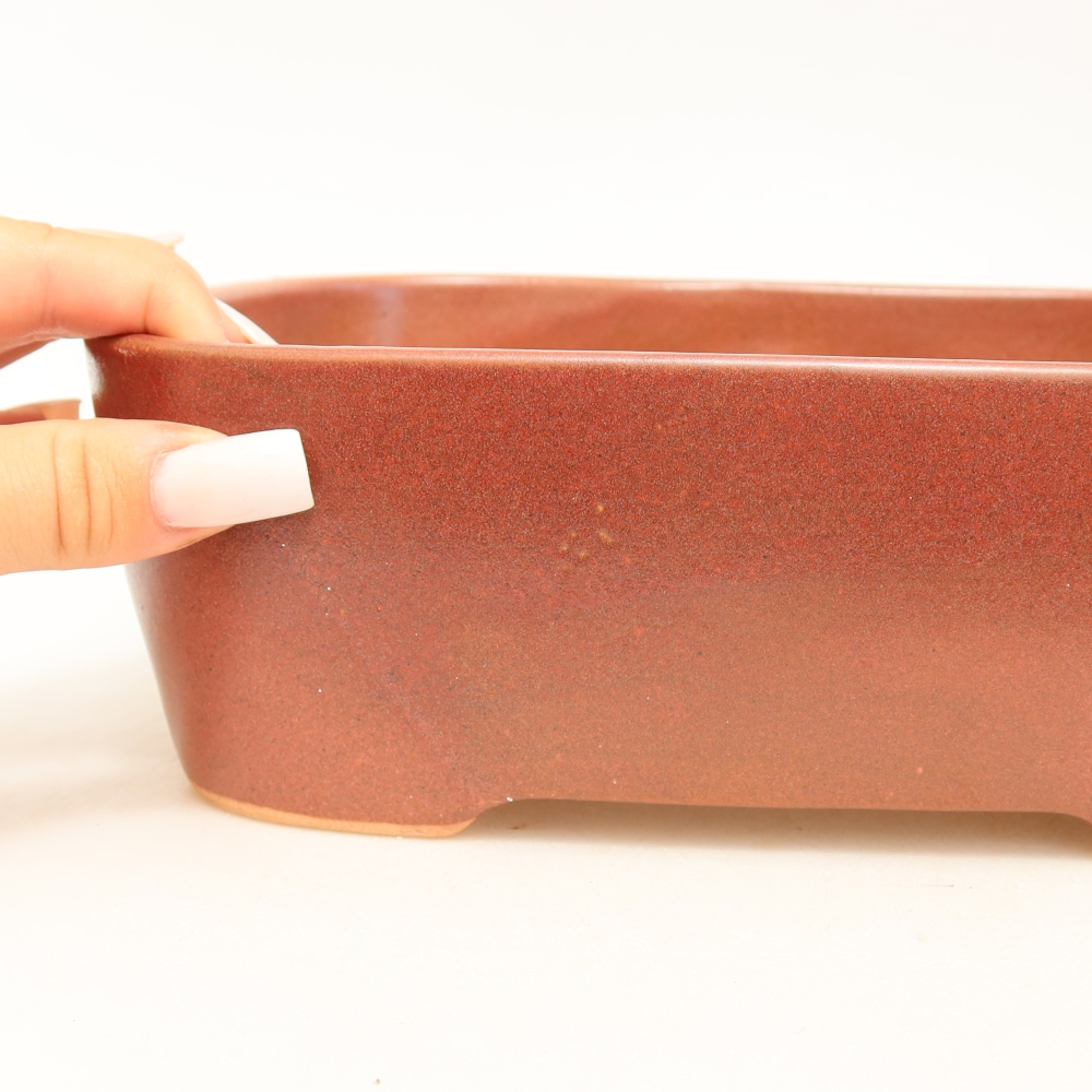 Ceramiczna miska do bonsai 23 x 17,5 x 7,5 cm, kolor bordowy