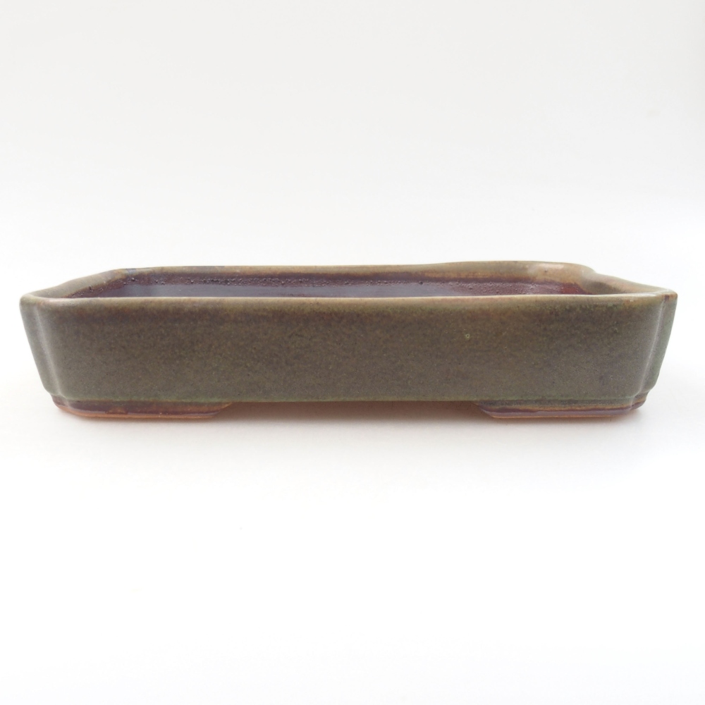 Ceramiczna miska bonsai 18 x 13 x 3,5 cm, kolor zielony