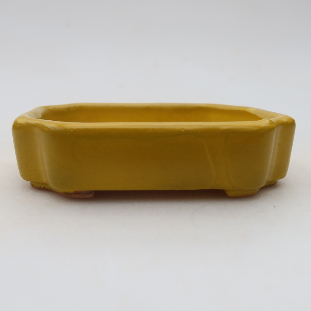 Ceramiczna miseczka do bonsai 10 x 8 x 2,5 cm, kolor żółty