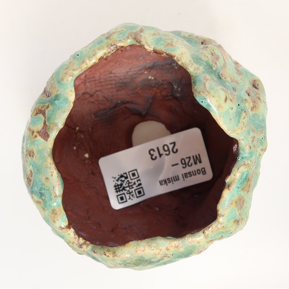 Ceramiczna skorupka  7 x 7 x 6 cm, kolor zielony