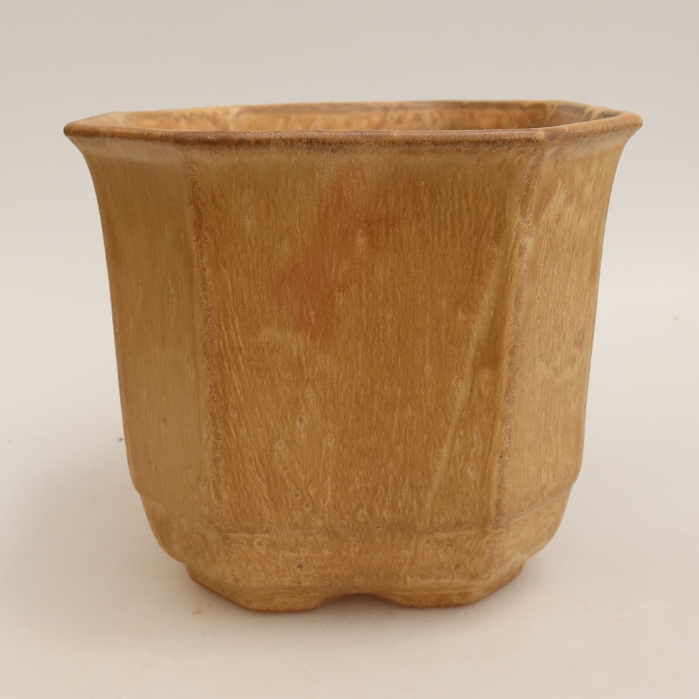 Ceramiczna miska do bonsai 17,5 x 17,5 x 15,5 cm, kolor beżowy
