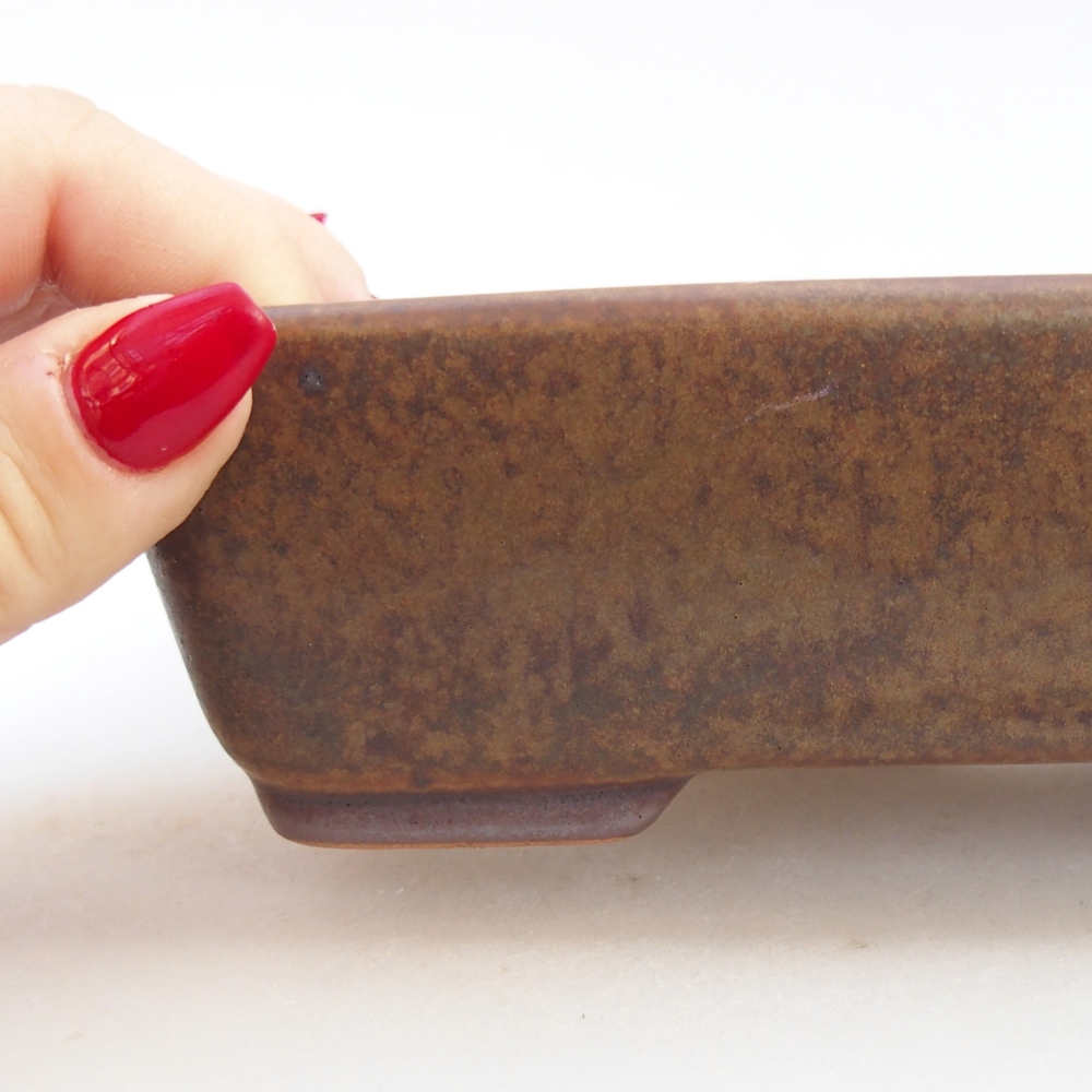 Ceramiczna miska do bonsai 18,5 x 13,5 x 3,5 cm, brązowa