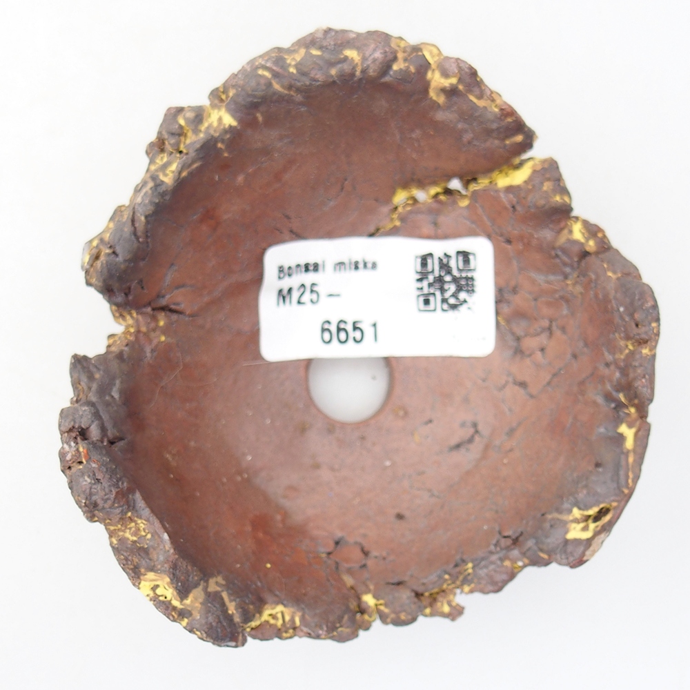 Ceramiczna muszla 9 x 9 x 5 cm, żółta
