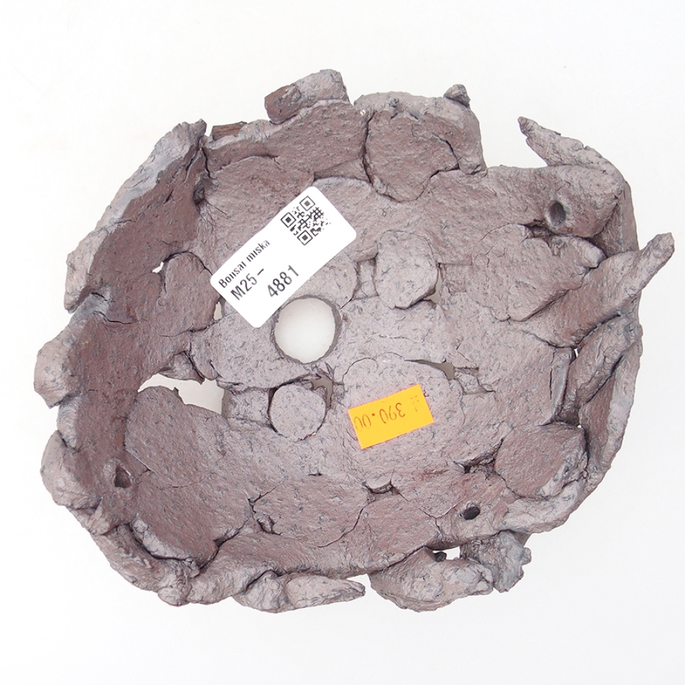 Muszla ceramiczna 16 x 14 x 6,5 cm, kolor metaliczny