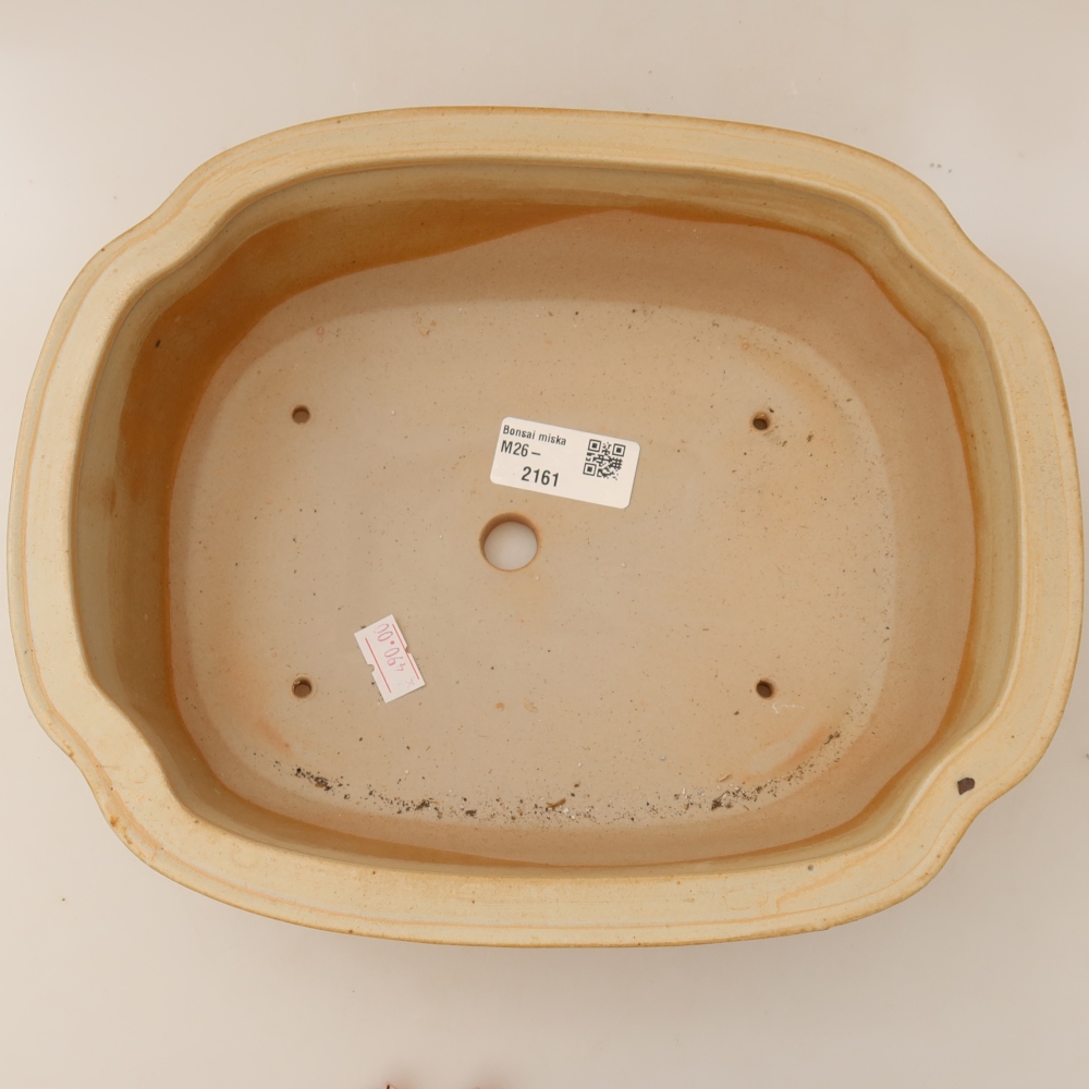 Ceramiczna miska do bonsai 24,5 x 21 x 7,5 cm, kolor beżowy