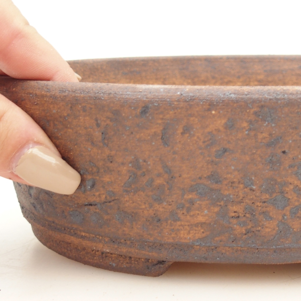 Misa do bonsai 20 x 16 x 6 cm, kolor brązowy
