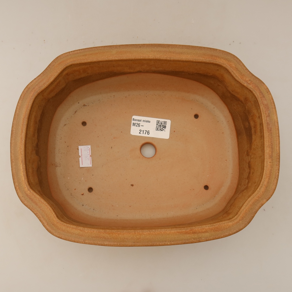 Ceramiczna miska do bonsai 22,5 x 17,5 x 7,5 cm, kolor beżowy